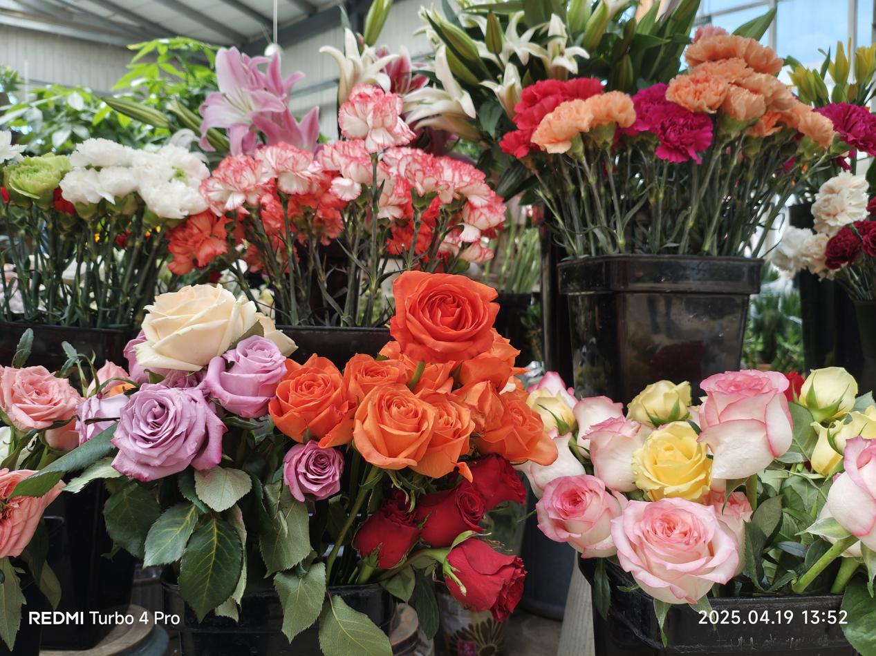 IMG_20250419_135253