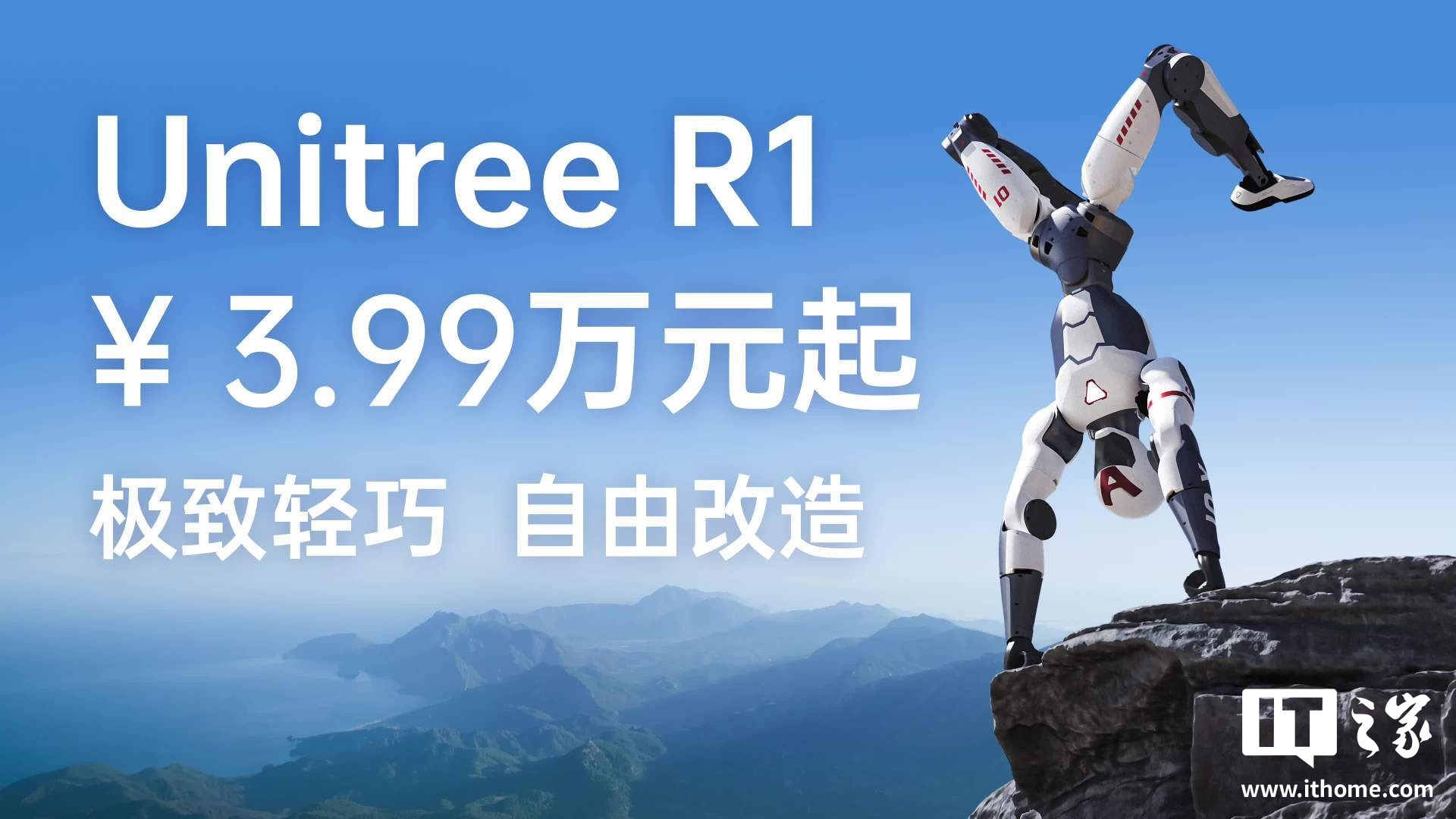 人形机器人,你看中了哪个?