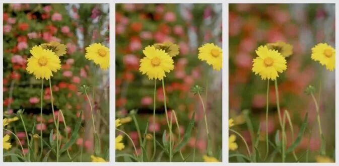 影响照片景深(虚化程度)的 5 个因素 640 (3).jpg